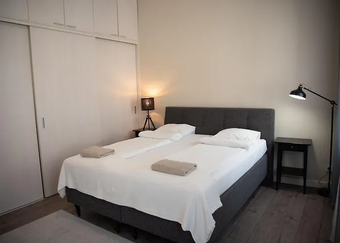 Apartment Stylish & Brand New 1 Bdr In Old Town