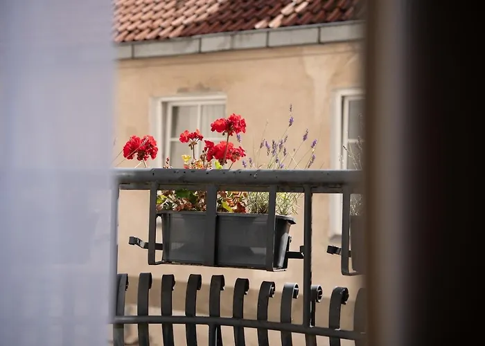 Stylish & Brand New 1 Bdr In Old Town *