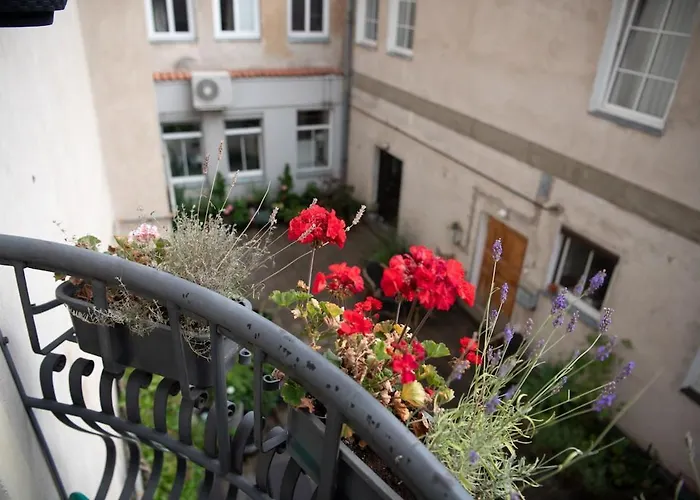 Stylish & Brand New 1 Bdr In Old Town *