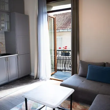 Stylish & Brand New 1 Bdr In Old Town Wilno